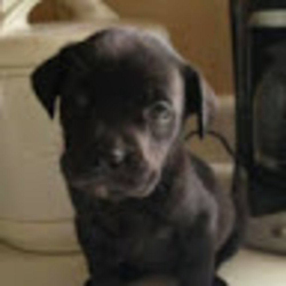 Meet your Posher, Mul